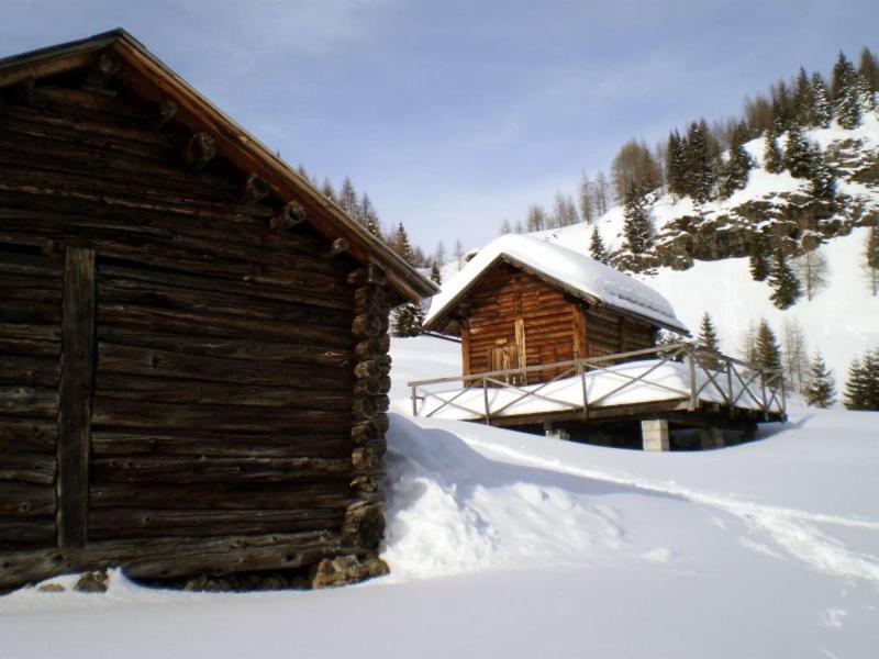 Cesa Da Riz Leilighet Colle Santa Lucia Eksteriør bilde